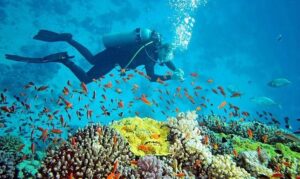 andaman tour package from chennai