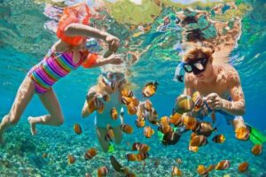 Andaman and Nicobar Island Tour Package 